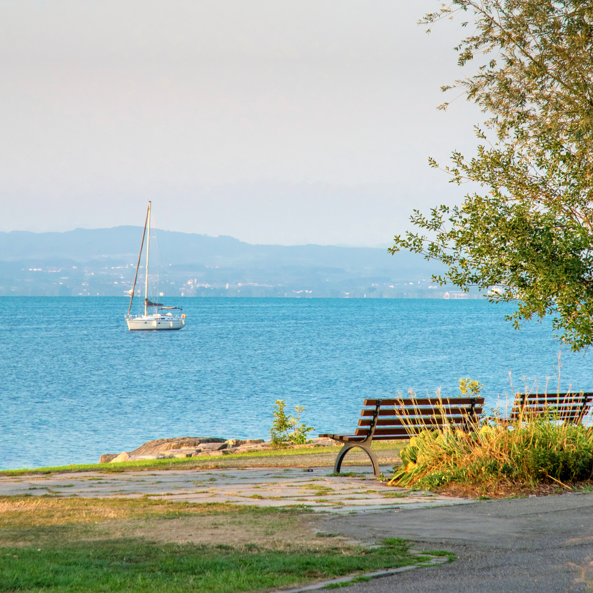 Beautiful,Summer,Sunrise,On,Bodensee,In,Germany,With,A,View